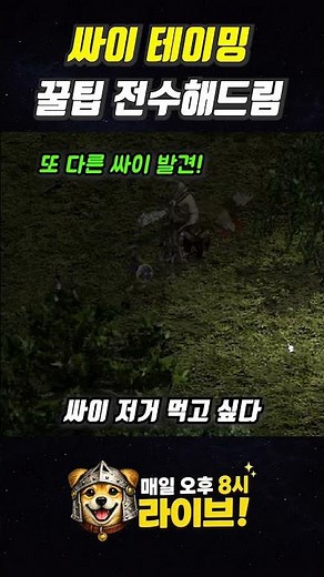 싸이클롭스 쉽게 찾는 방법 알려드림 #리니지테이밍 #리니지클래식