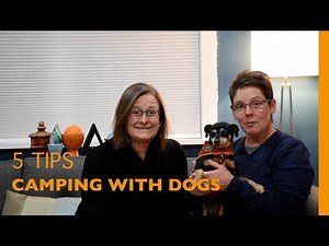 5 Tips for Camping with Dogs in a Tiny Camper Trailer