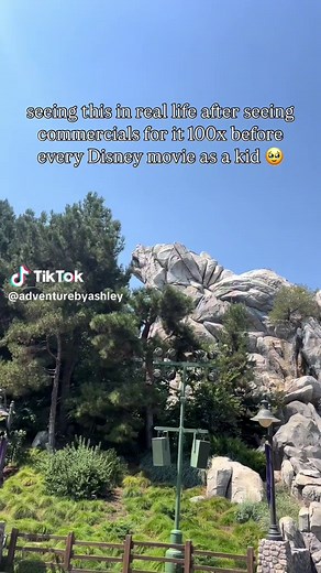 Nostalgic Disney California Adventure VHS Memories