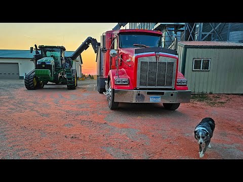 Did We Just Destroy Our Grain Bin?!