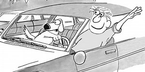 Can You Pass Driver's Ed... Today?