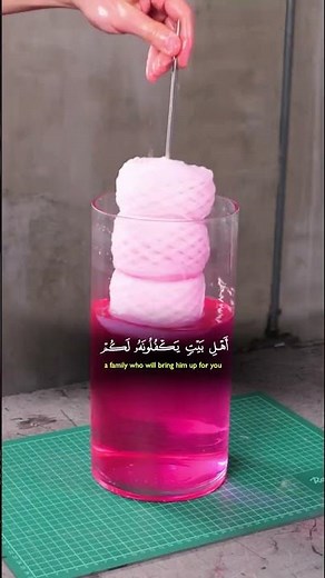 like comment share and subscribe plz