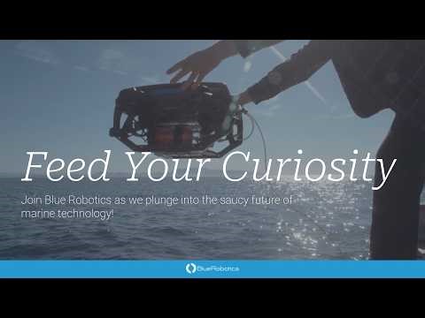 Feed Your Curiosity: Talking about the Future of Marine Tech with Blue Robotics