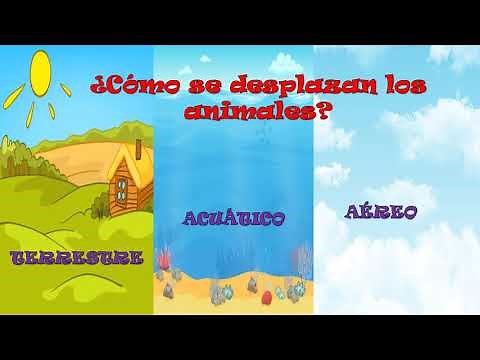 ¿Cómo se desplazan los animales?