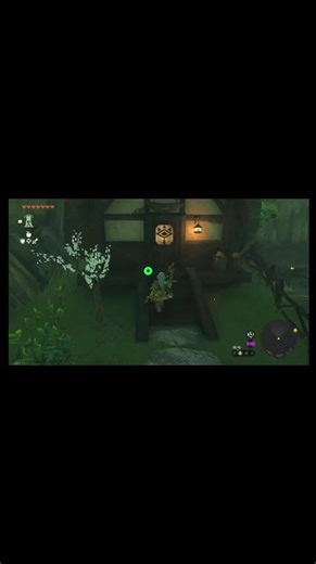 How to get the Radiant and Stealth Armor in The Legend Of Zelda: Tears Of The Kingdom! #zelda #armor