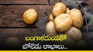 Potato Benefits: బంగాళదుంపతో బోలెడు లాభాలు.. ఈ సమస్యలు ఉన్నవారు తప్పక తినండి!
