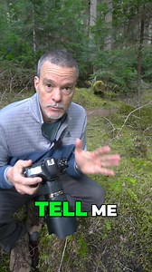 How would you photograph this tiny little tree? Get your FREE camera settings cheat sheets. Visit timsphotos.com | Photography Academy