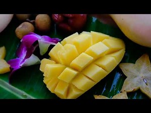 🌴 Nadi, Fiji Travel Guide | Top Things To Do & Hidden Island Gems 🌊