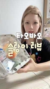 타오바오 슬랑이 리뷰