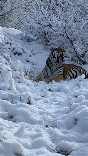 Kaitlin Richard on TikTok