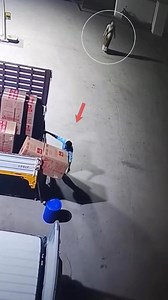 Late-night loading moment caught on camera | This reel is created using AI. #nightfootage | Devil's night with dharmendra