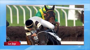 Vous l'attendiez (nous aussi), voici le zapping du mois d'octobre ! Pour la version longue, c'est par ici ► http://equid.la/1LOgh2x | Equidia