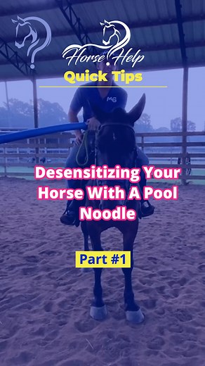 3.2K views · 96 reactions | Quick Tips On Desensitizing Your Horse With A Pool Noodle! Part 1! Want To Learn More? Visit The Link In My Bio! #horsetraining #horse #trainer #horsetrainer #trainingvideos #traininghorses #horses #horsehelp | Horse Help With Michael Gascon | Facebook