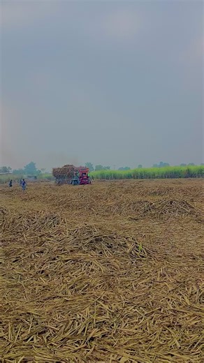 Explore Amazing Tractor Videos for Enthusiasts