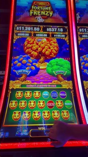 Fortunes Frenzy Slot Bonuses. #jackpot #casino #gambling #lucky #winner #gaming #slot