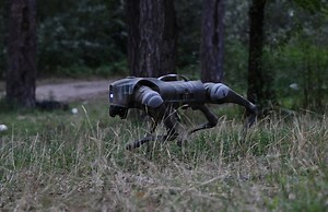 Psy-roboty na froncie. Ukraińcy opublikowali nagranie