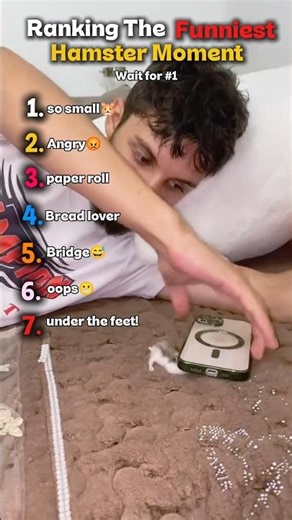 Ranking The Funniest Hamster Moments| #hamster #short #ranking #funnyranking