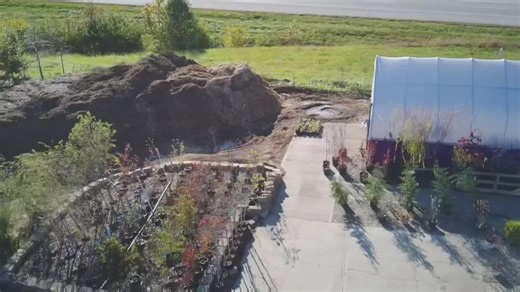 FALL TREE SALE GOING ON NOW!!! Nearly every tree on sale, anywhere from 5-50% OFF! All trees marked with pricing on ribbons. Stop in now for best selection! Fall mums are in, lots of ways to still add color to your landscape this fall. Stop in today to ask our staff what is best for you! Monday-Friday 8 am - 6 pm Saturday 9 am - 4 pm Sunday Closed Located at 2945 Dixie Hwy (US 25) , Dry Ridge Call us at 859-428-3736 Or visit us at www.showplacegardencenter.com | Showplace Garden Center and Lands