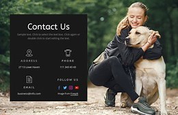 Dog school contacts - Html Code Example by Nicepage