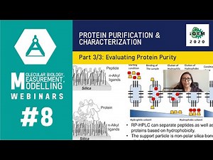 Week #8: Protein Purification and Characterization 3/3: Evaluating Protein Purity