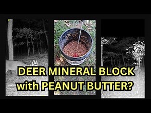 Homemade Deer Mineral Block