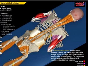 Muscle and Motion | All About Strength Training