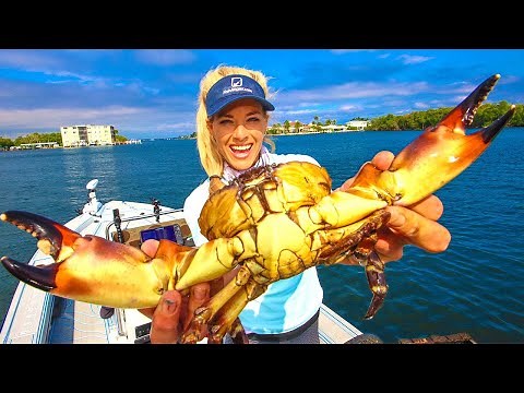 NEW 2025 Crabbing Secrets! Best How To Harvest Florida Stone Crab Video