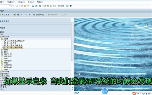 SAP系统菜单的事务代码如何显示出来