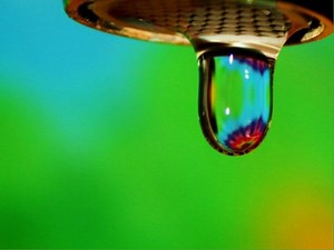 7 Simple Tips To Curb Water Use At Home