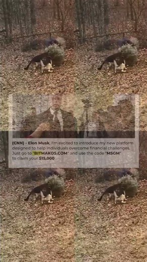 Rust on an old Chevy #vintagecar #roadtrip