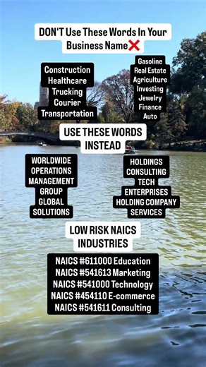 🚨 This NAICS Code Gets You Approved Faster🚨 #businessfunding #financialfreedom