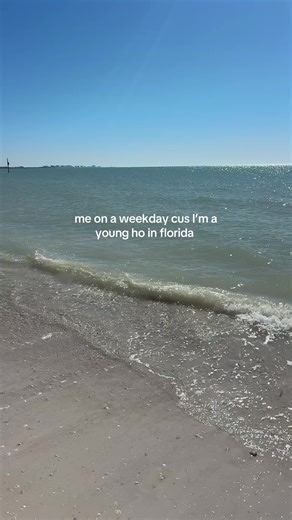 Young and Adventurous: Life in Florida