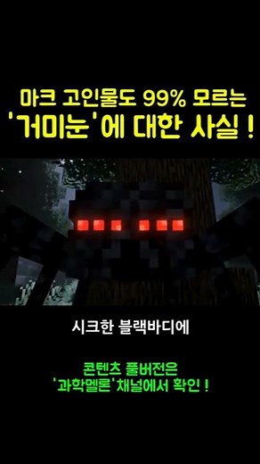 당신이 몰랐던 마크 '거미눈'에 대한 사실! #마인크래프트 #마크 #minecraft