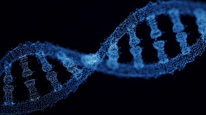 Single-protein Images Show How E. coli Repairs DNA While Replicating It