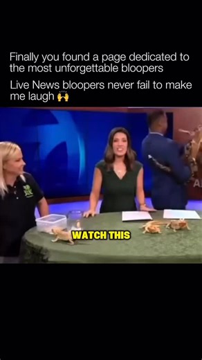 Unforgettable Bloopers on Instagram: "These are way too good 🤣 Live news bloopers are moments where anchors, reporters, or guests break composure on air—laughing uncontrollably, misreading teleprompters, reacting to unexpected visuals, or getting caught off guard by awkward wording or situations. Viewers are used to news being controlled and authoritative, so watching an anchor losing it makes it feel natural"