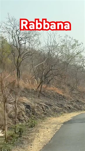 ALLAHUMA RABBANA DUA | دعاء 🤲#egzonibrahimi​ #dua​ #islamicdua #shorts #ramadan #ytshorts #tilawat