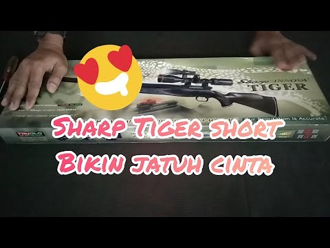 Review Singkat Senapan Angin Sharp Tiger Short Truglo #Part01