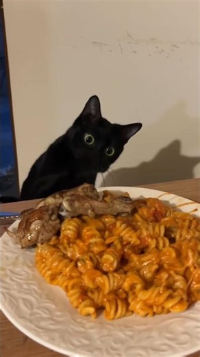 Titi Should Definitely Eat First 😂