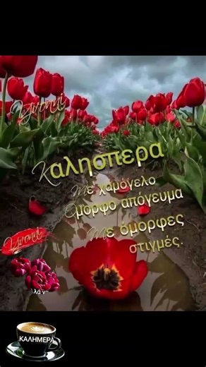 19 Απριλίου 2026