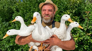 322K views · 6.9K reactions | Cooking a wild duck in a brutal, ancient way is a raw and savage experience! watch as i prepare this fierce dish with intense asmr sounds for true meat lovers!  #cooking #duck #recipe | Kanan Badalov | Facebook