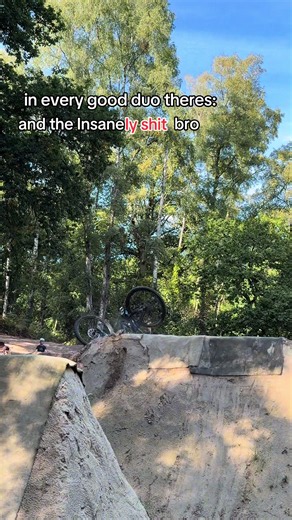 send this to the insane bro 😭 #mtb #bike #crash #bro #duo | bike