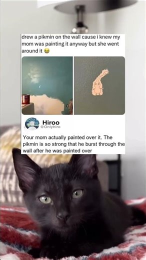 It wasn’t a hole in the wall