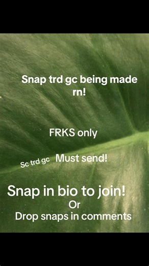 Sc trd gc #fyp #snapchat #trd #gc #sc