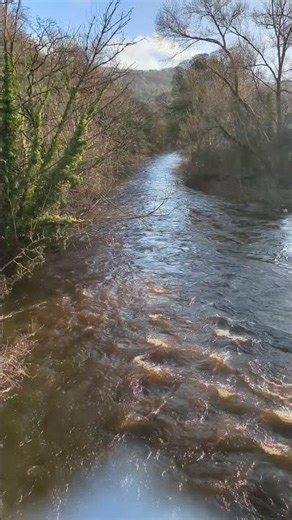 Meandering River in the Countryside 🌿