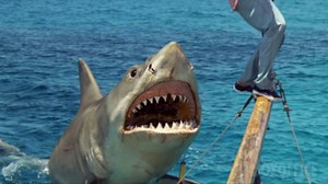 12M views · 103K reactions | From shark hunter to shark snack in a few seconds... | Boxoffice Movie Scenes | Facebook