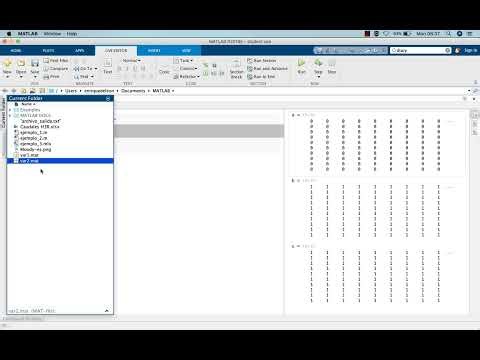 Guardar archivos txt con diary en MATLAB