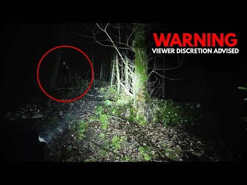 STAY AWAY from This Haunted Forest - Strange Humanoid Encounter (Caught On Camera)