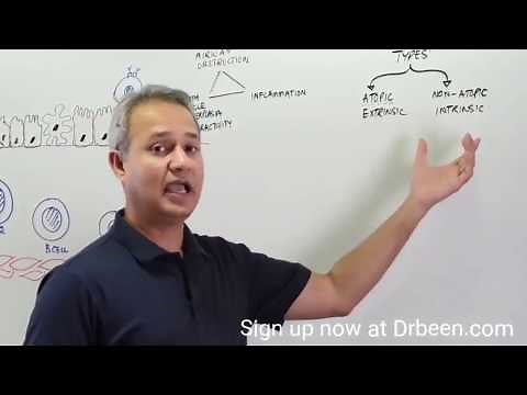 Learn Definition, Complications and Types Of Asthma in 2 Minutes