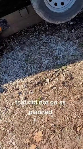 Joshua Lee cox on Instagram: "Best way to bust a window"