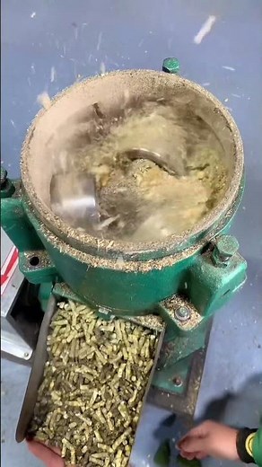 Model 160 chicken rabbit cattle feed pellet maker